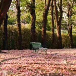 دانلود آهنگ solba بازم شب شدو دلتنگی دیدی اخر گمم کردی